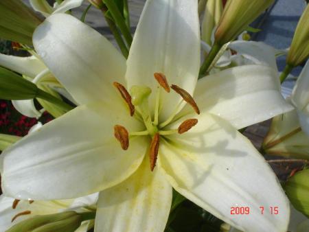 gallery_23100_3616_30528.jpg