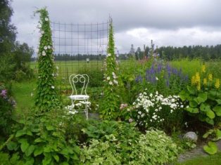 gallery_8531_3584_17964.jpg