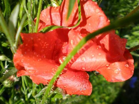 gallery_22951_3405_11941.jpg