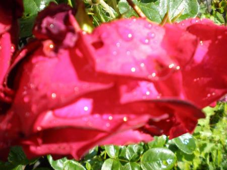 gallery_22951_3405_32868.jpg
