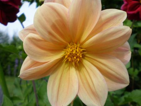 gallery_22951_3405_90167.jpg