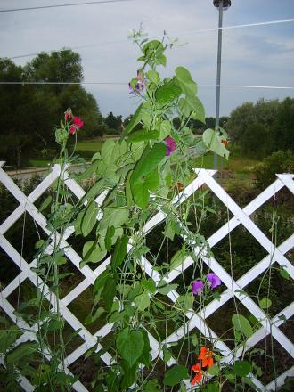 gallery_22761_3588_282048.jpg