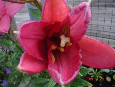 gallery_23100_3616_105540.jpg