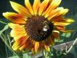 tn_gallery_25136_3736_85647.jpg