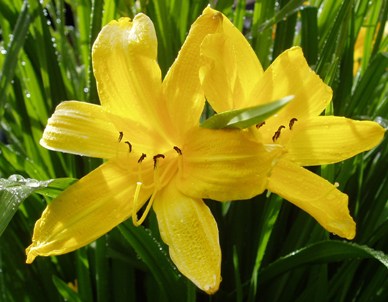 gallery_24655_3747_42317.jpg