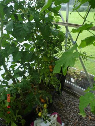 gallery_23100_3752_15379.jpg