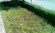 tn_gallery_25288_3757_188464.gif