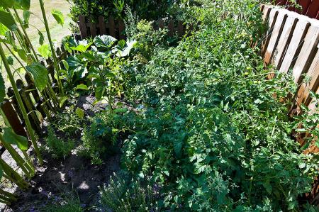 gallery_12000_3452_195780.jpg
