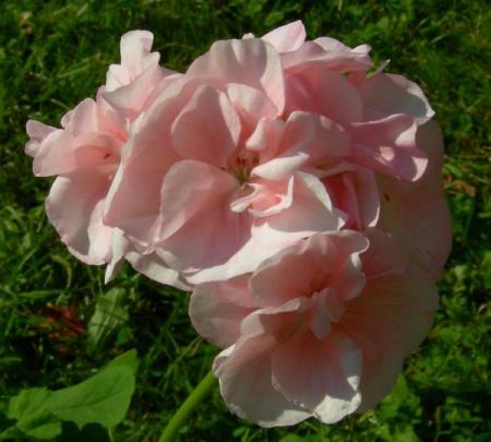 gallery_22915_3480_39991.jpg