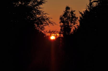 gallery_5074_3745_203177.jpg