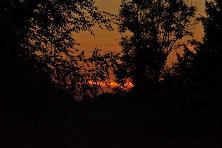 gallery_5074_3745_39443.jpg