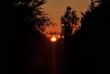 tn_gallery_5074_3745_203177.jpg