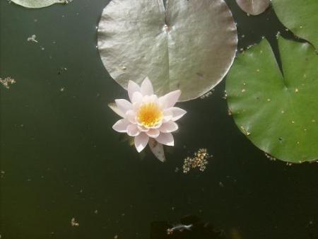 gallery_10191_2848_39158.jpg