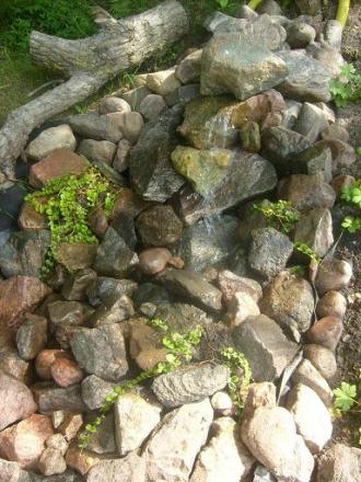 gallery_10191_2848_55967.jpg