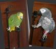 tn_gallery_10191_1736_5847.jpg