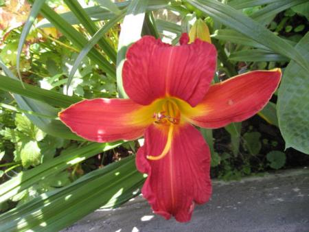 gallery_23204_3784_19293.jpg