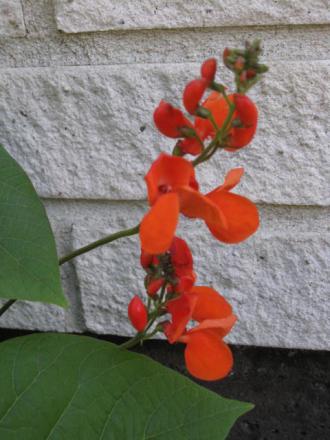 gallery_23204_3784_40096.jpg
