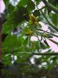 tn_gallery_23163_3517_166366.jpg