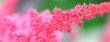 tn_gallery_24655_3747_15954.jpg