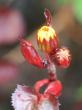 tn_gallery_24655_3747_38754.jpg