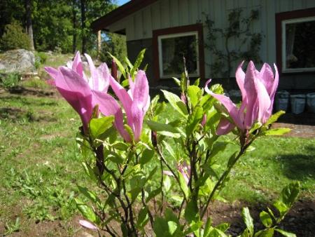 gallery_25508_3797_100807.jpg