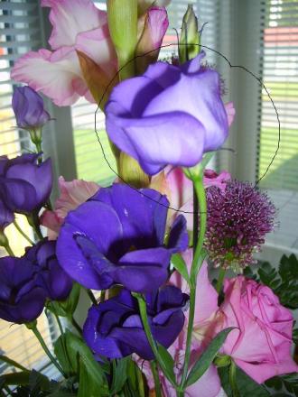 gallery_25522_3799_102376.jpg