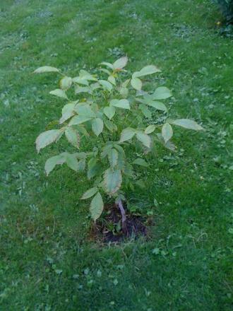 gallery_25634_3820_20043.jpg