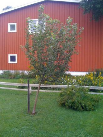 gallery_25634_3820_2884.jpg