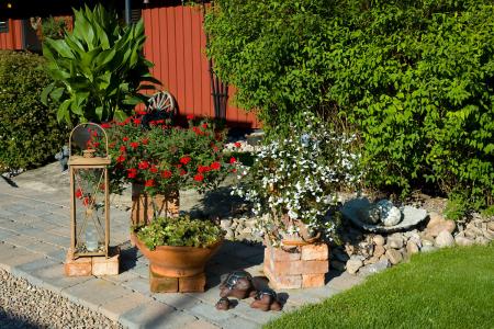 gallery_4207_3624_107659.jpg