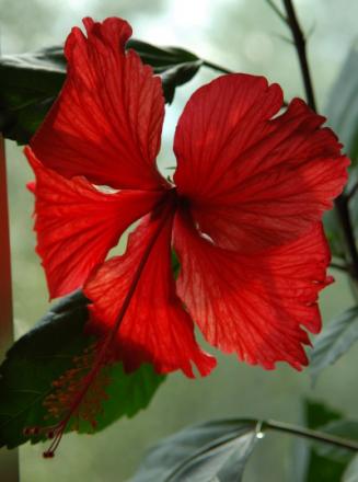 gallery_1090_695_50863.jpg
