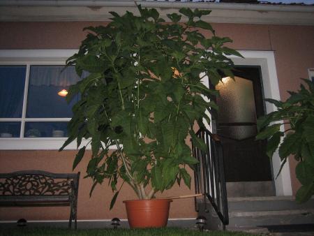 gallery_20223_3058_26529.jpg