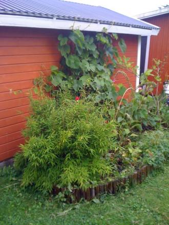 gallery_25634_3820_75595.jpg