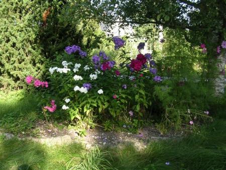 gallery_8790_3821_26667.jpg