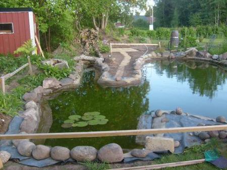 gallery_10191_2848_91692.jpg