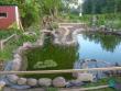 tn_gallery_10191_2848_91692.jpg
