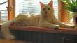 tn_gallery_352_1285_22373.jpg