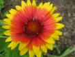 tn_gallery_4383_3837_1245.jpg