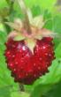 tn_gallery_4383_3837_35307.jpg