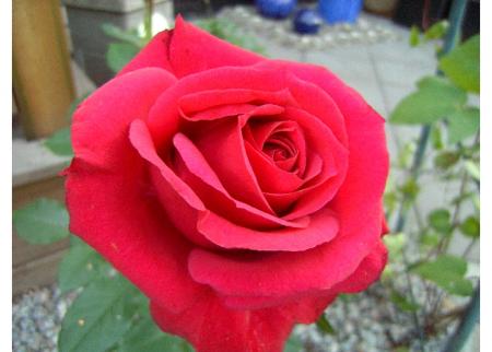 gallery_14337_3814_155715.jpg