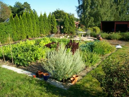 gallery_9680_1756_227970.jpg