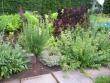 tn_gallery_9680_1756_199825.jpg
