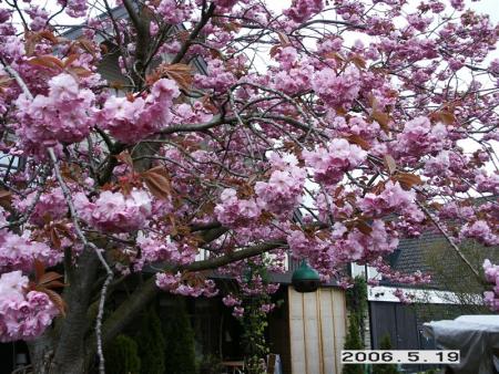 gallery_5956_3859_17148.jpg