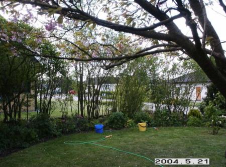 gallery_5956_3859_7785.jpg