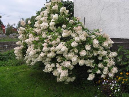 gallery_23204_3784_14563.jpg