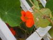 tn_gallery_22761_3838_2724.jpg