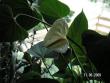tn_gallery_4958_3866_18750.jpg