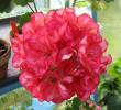 tn_gallery_352_2076_74216.jpg
