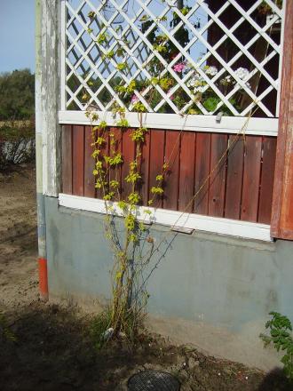 gallery_22761_3886_222062.jpg