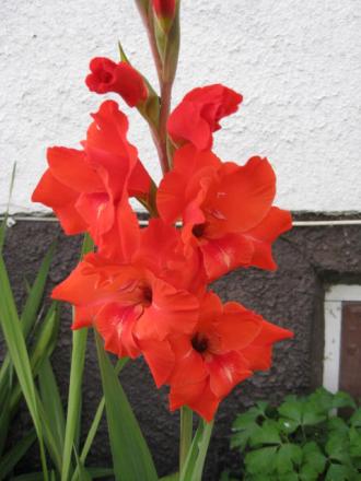 gallery_23204_3889_44688.jpg