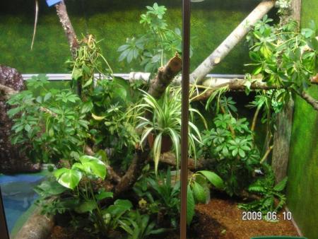 gallery_25860_3861_103065.jpg